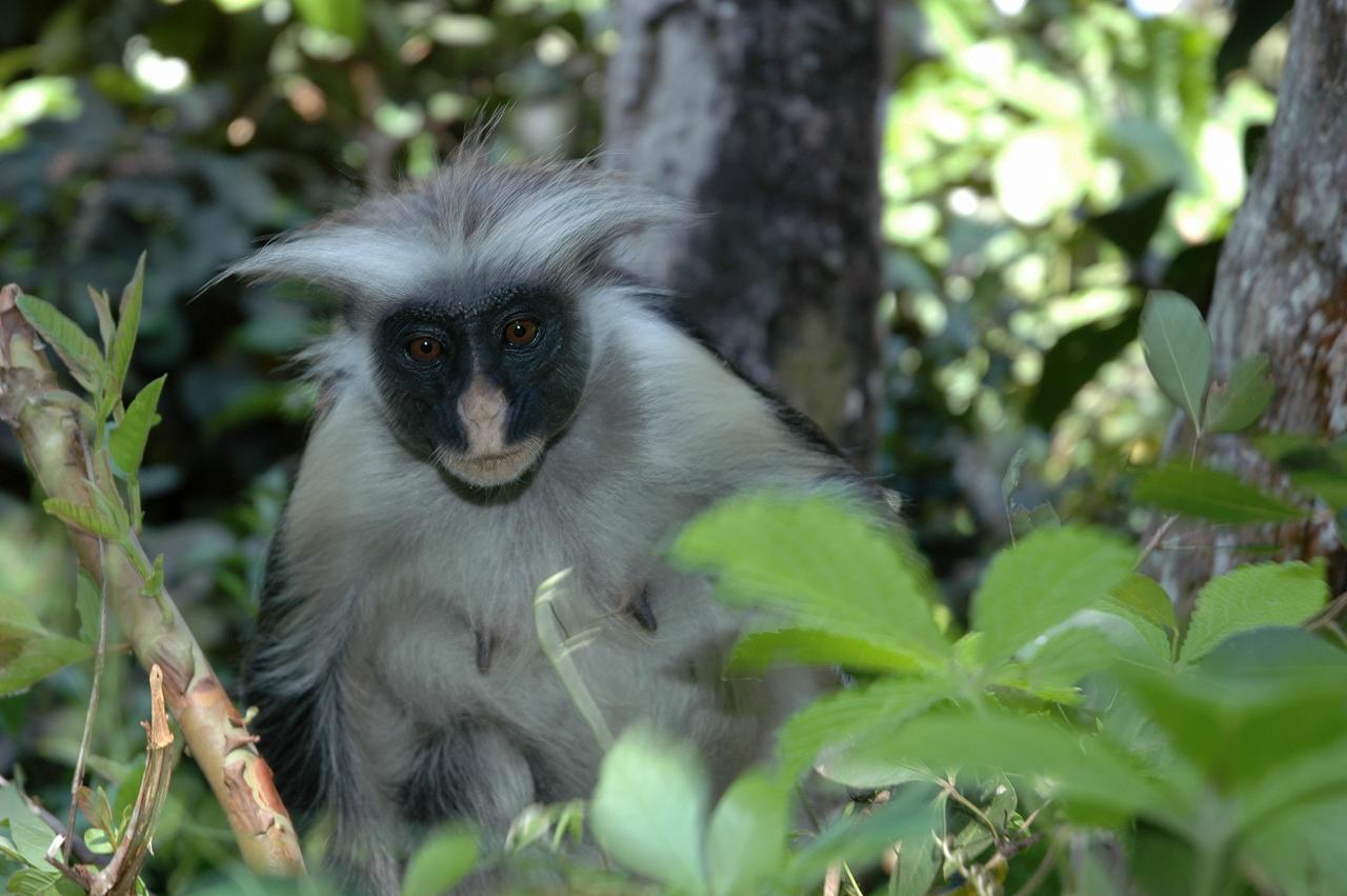 Victoria Lake View Guesthouse & Safaris エンテベ エクステリア 写真