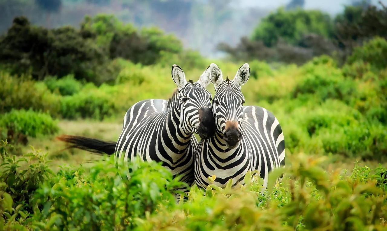 Victoria Lake View Guesthouse & Safaris エンテベ エクステリア 写真